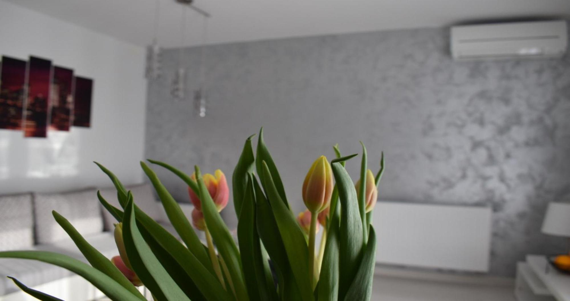 Apartmani Foresta Kras Exterior photo